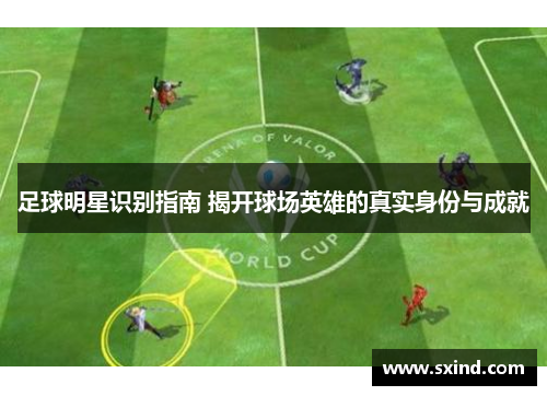 足球明星识别指南 揭开球场英雄的真实身份与成就